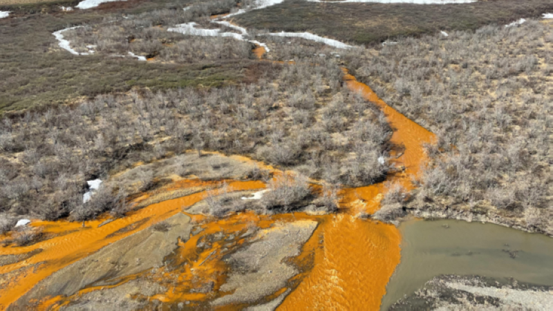 رافد لنهر كوجوروروك في ألاسكا باللون البرتقالي