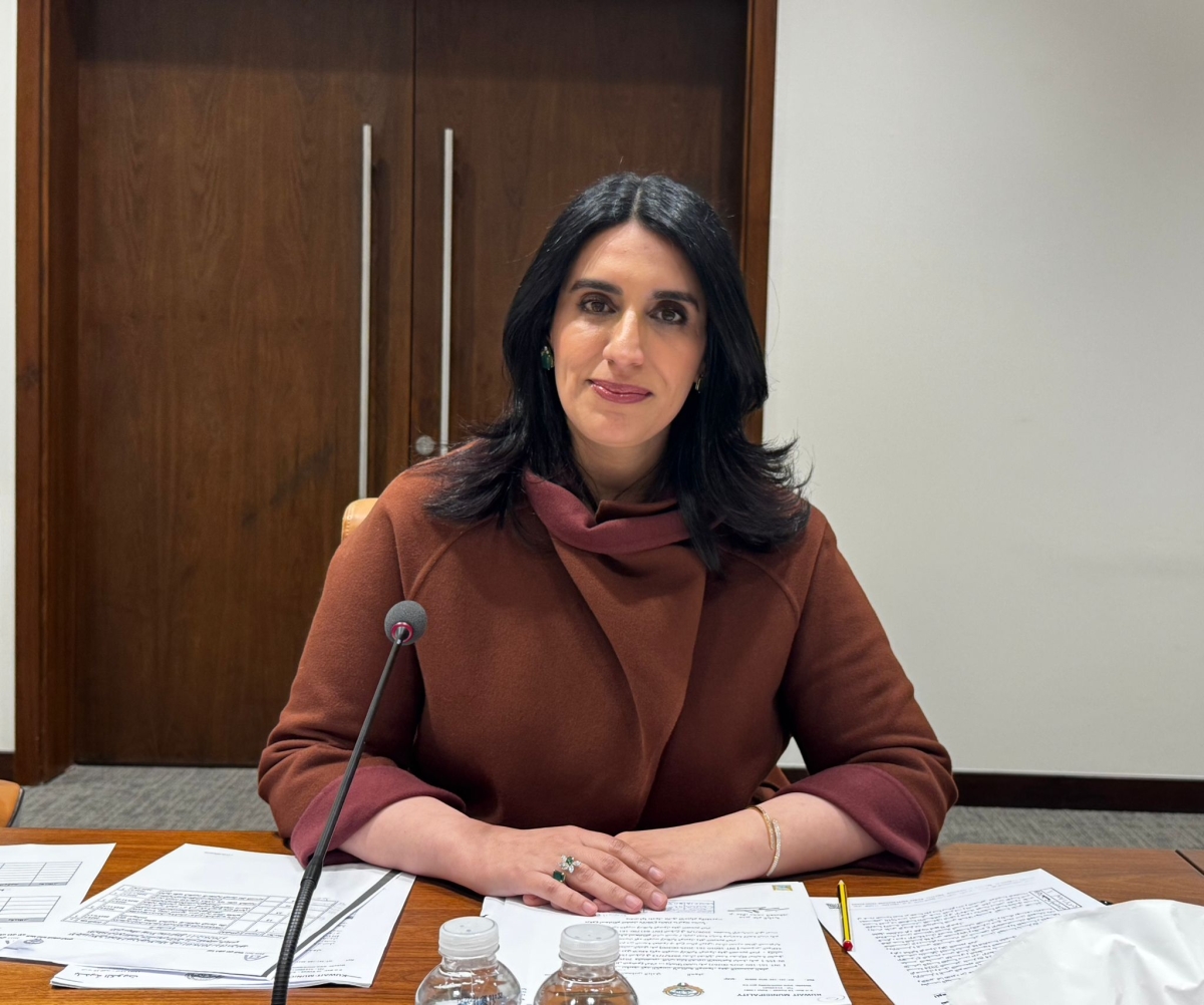 الرومي: الموافقة على إنشاء قاعدة بيانات لتحديد مدى أهلية المرافق العامة لذوي الإعاقة